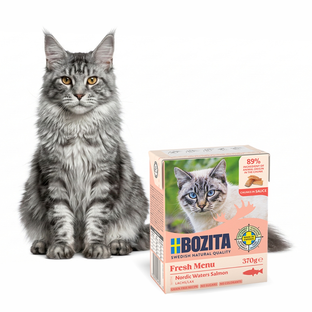 BOZITA karma dla kota kawałki łososia w sosie 370g